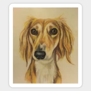 Saluki Lurcher Sticker